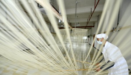 手工掛面自動(dòng)化生產(chǎn)線是如何還原仿生工藝的？