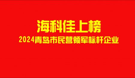 ?？萍焉习?！2024年青島市民營領(lǐng)軍標桿企業(yè)